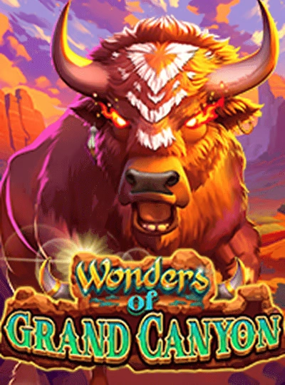 65wim new game